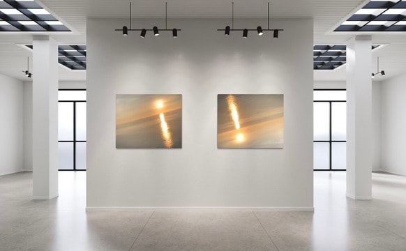 8623BE5D 631A 446C AA0E 06CB3ED247D7 4 5005 c