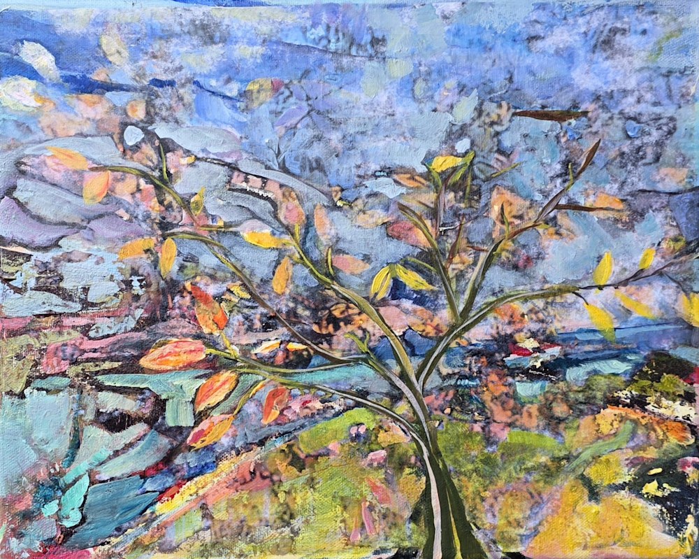 11X14 Spring On The Hill 275 Arden Rose