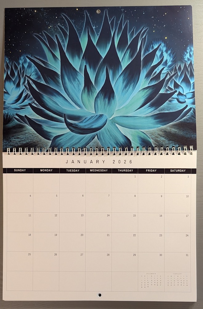 PXL 20251020 233242403