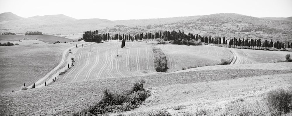 Favorites   17 of 31