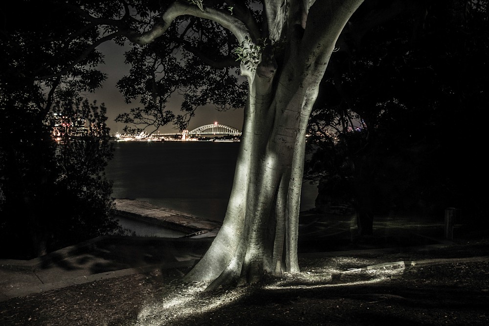 Light Painting Landscapes Australia By Anastasebradleyhead Light Painting Photography By Catalin Anastase12 Catalin Anastase