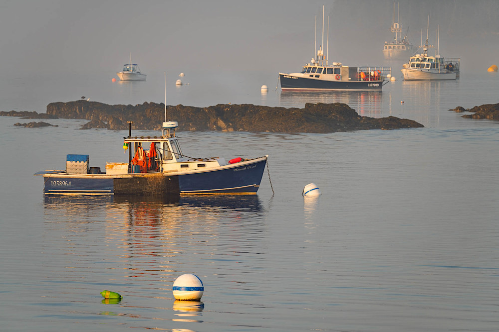 Morning Reflections Wallpaper