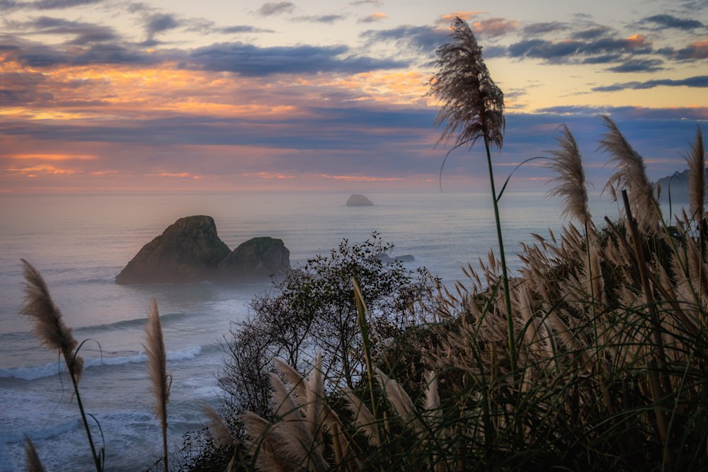 Camel Rock 7275x4875 12162023