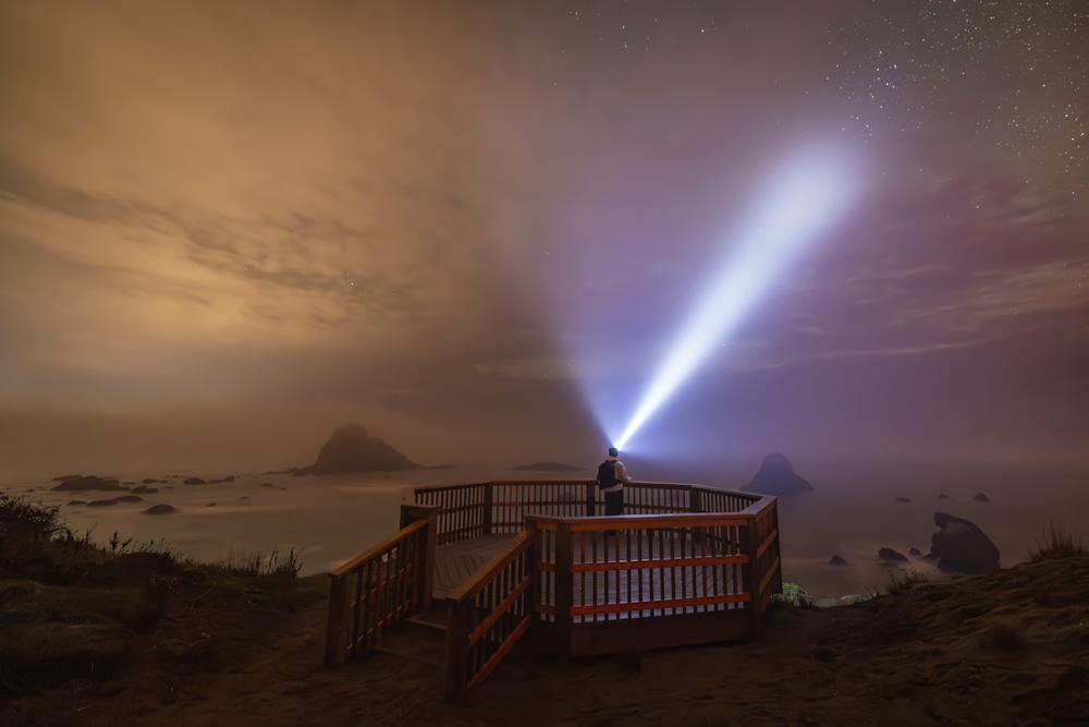 Self Portrait 11112022