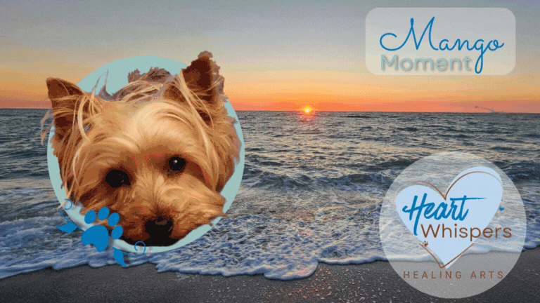 Heart Whispers Main Page