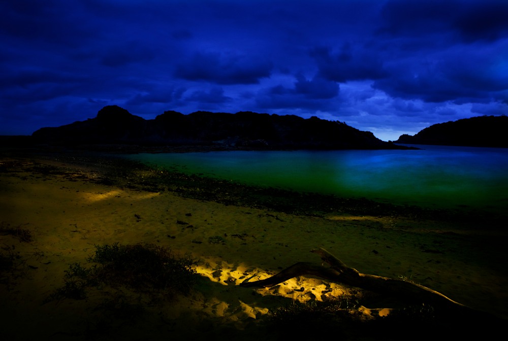 Guerilla Bay by Anastase web