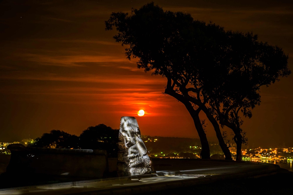 The Trophy by Catalin Anastase