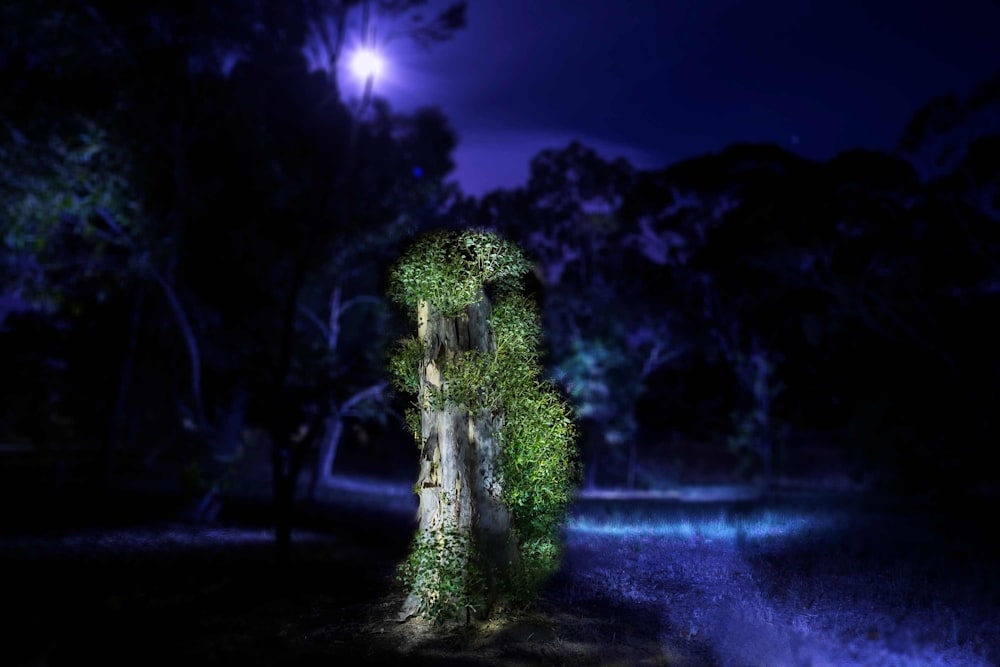 The Other World photo by CatalinAnastase