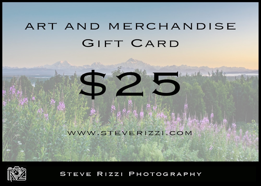 Steve Rizzi $25 Gift Card