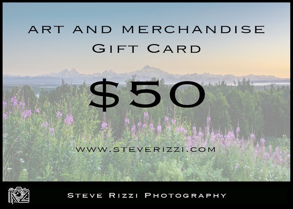Steve Rizzi $50 Gift Card