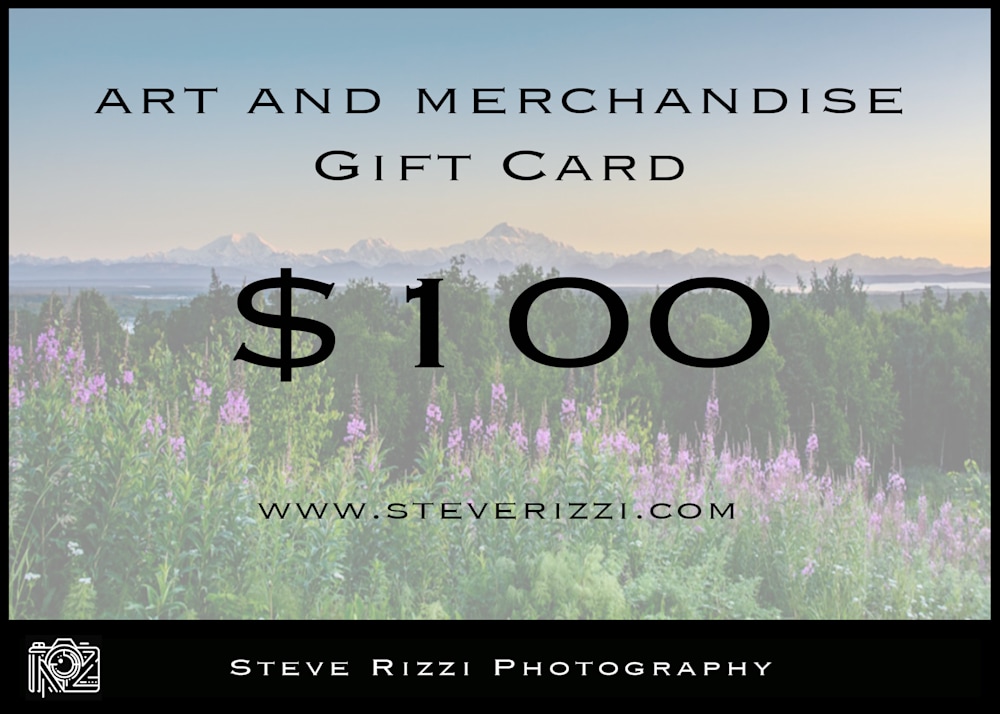 Steve Rizzi $100 Gift Card