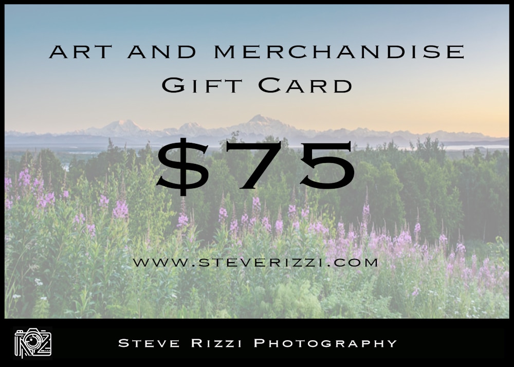 Steve Rizzi $75Gift Card