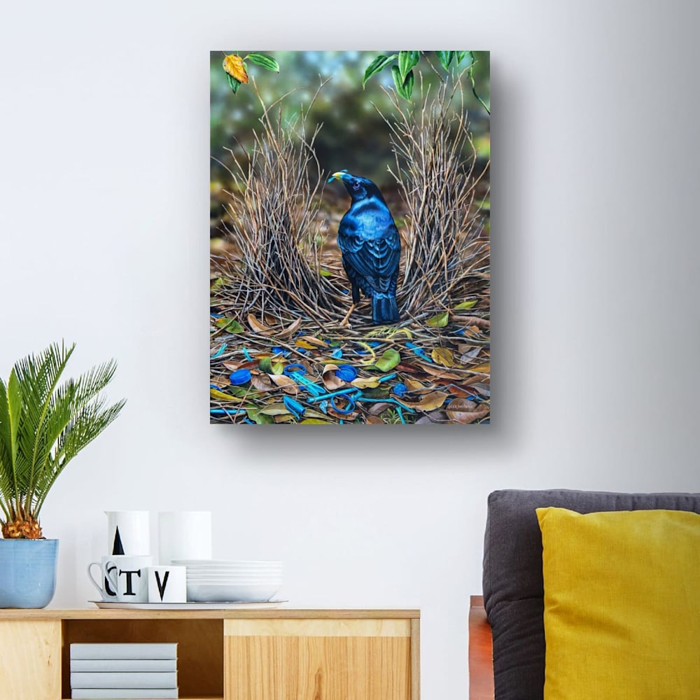 Detailed Australian bird artwork showing a Satin Bowerbird and his bower, by wildlife artist Natalie Jane Parker.