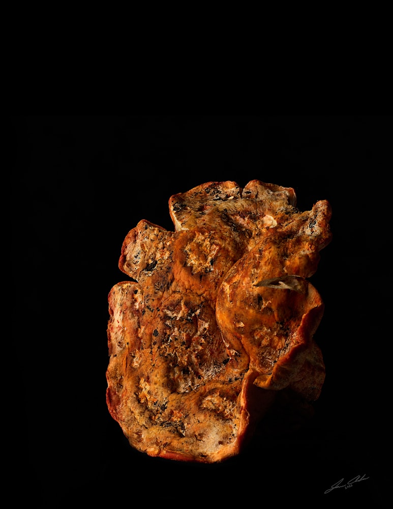 FS Source Lobster Mushroom 0775 Final