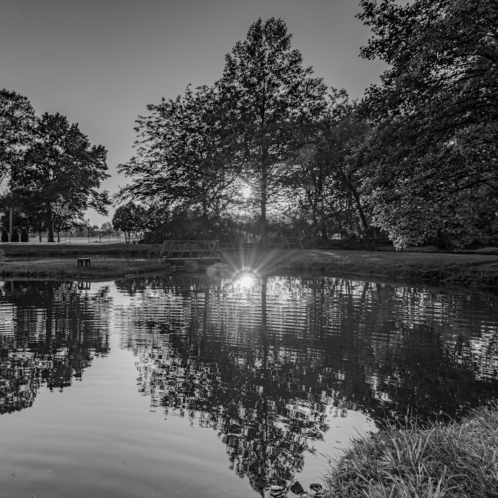 Fire in the Pond   Coaster