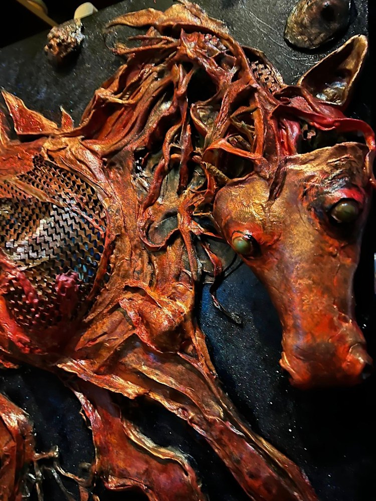 627675758 10235624400483690 463757455036767348 n