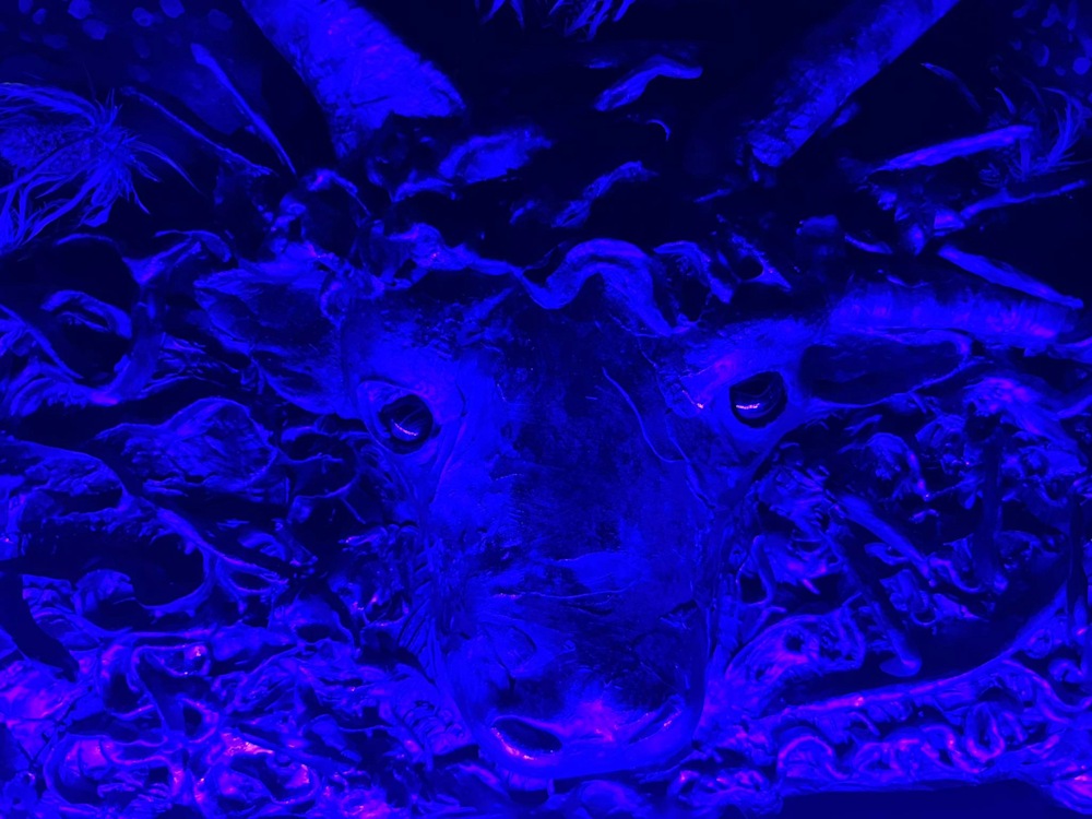 632193623 10235740014493968 4603525356773967172 n