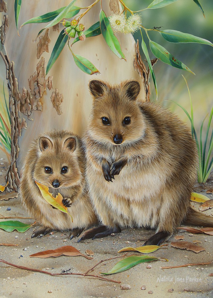 Close-up of Trusting Eyes quokka and joey artwork on premium puzzle board – 1000-piece jigsaw