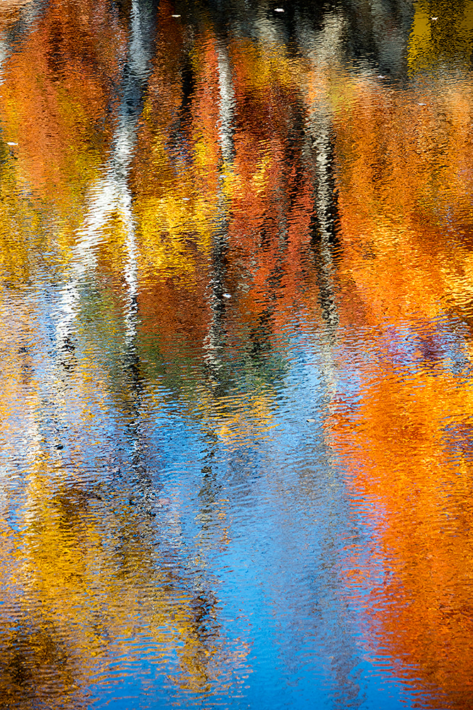 Rippling reflection of autumn trees in a pond, with vibrant orange, yellow, blue, and white tones blending like watercolor