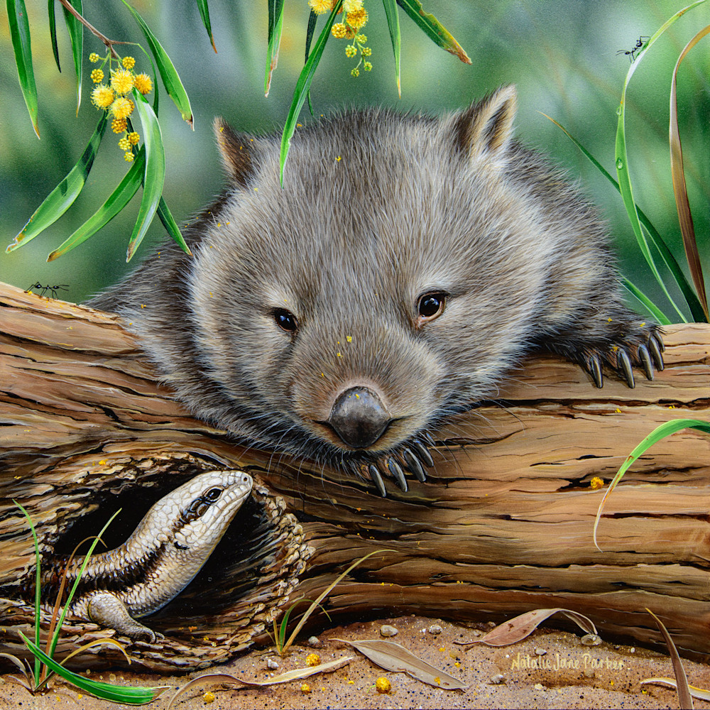 G'DAY - HAIRY NOSED WOMBAT WITH EASTERN BLUE-TONGUE LIZARD | NATALIE JANE PARKER | AUSTRALIAN NATIVE WILDLIFE