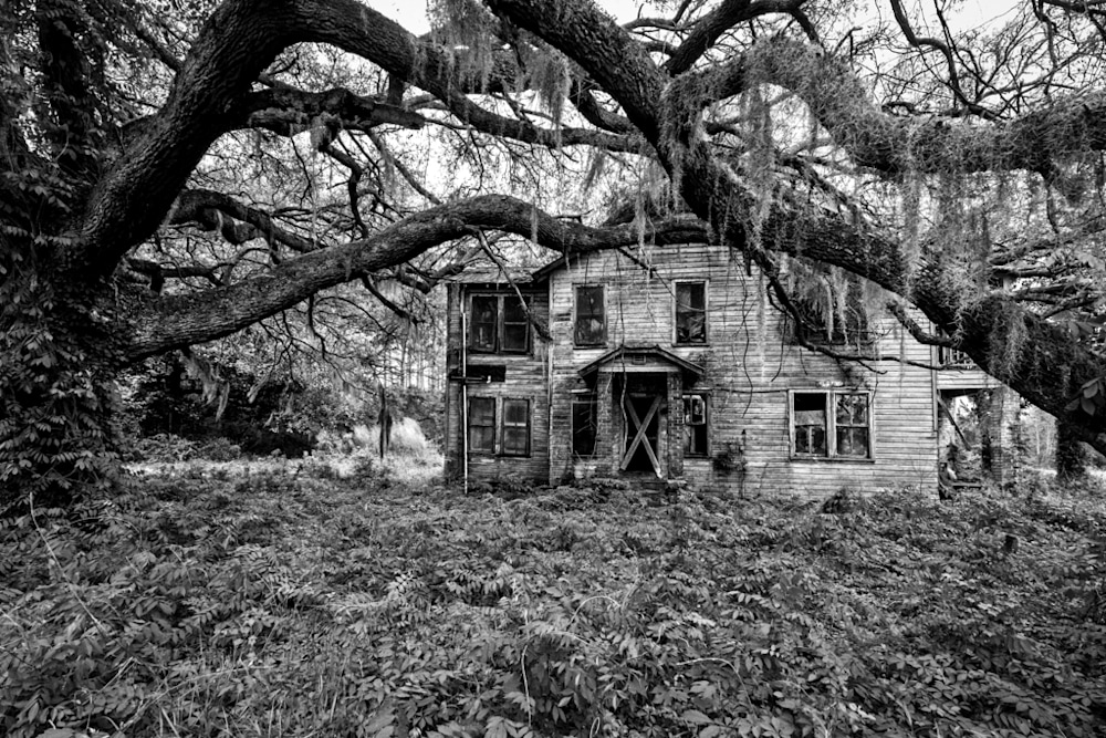 This old plantation home sits decaying beneath a sprawling live oak tree in the South Carolina Lowcountry.