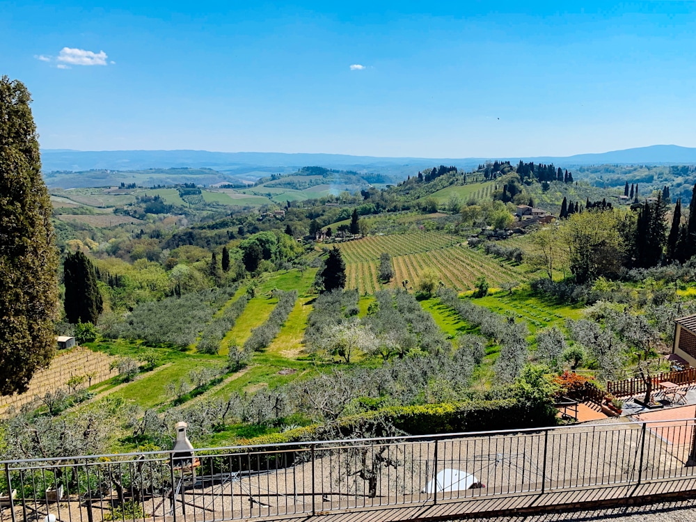 Vernaccia di San Gimignano | Kimberly Cammerata