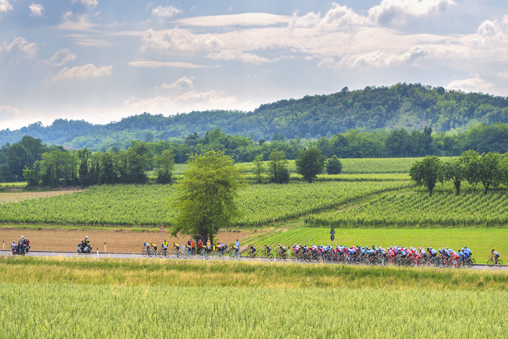 Giro d Italia through vineyards | Kimberly Cammerata