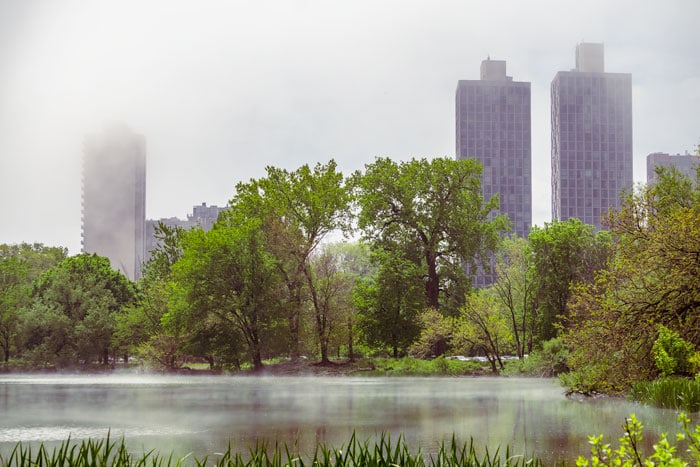 Fog and low clouds shroud the buildings in Lincoln Park, Chicago