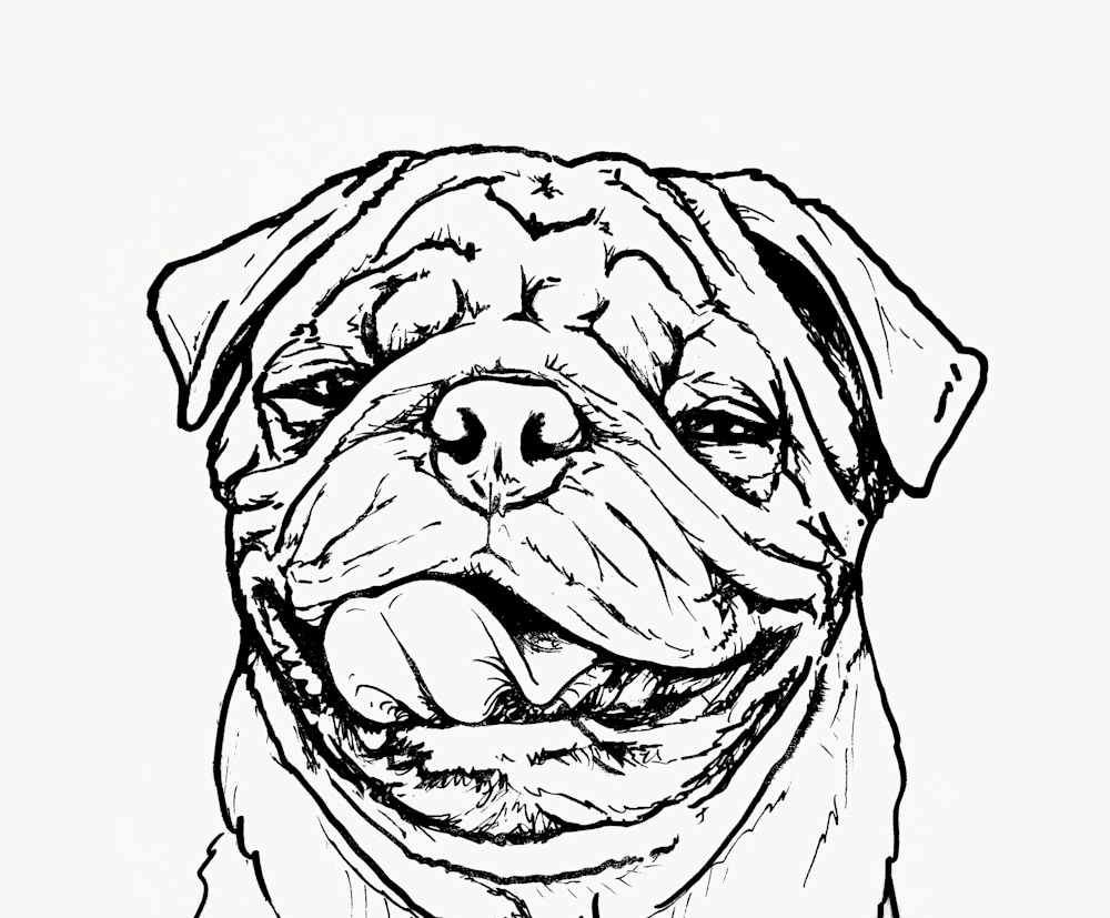 Pug Life Line Drawing Of A Dog In Ink Do two curvy lines (don't worry, these are your last ones!) they should look like two candy canes facing opposite each other, curving up just a little bit. pug life line drawing of a dog in ink