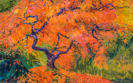 Japanrse Maple Tree, oil painting by Judith Barath