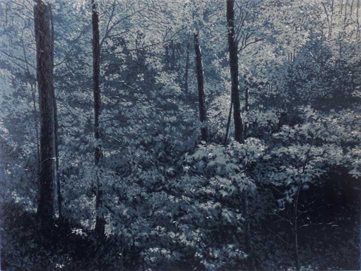 Forest In Moonlight, linocut print by William H. Hays