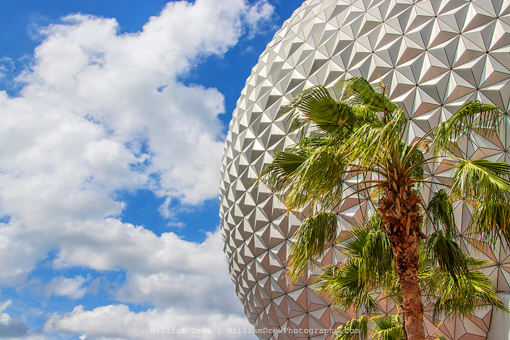 Spaceship Earth and Palm Tree 2018 - Epcot Art | William Drew Photography
