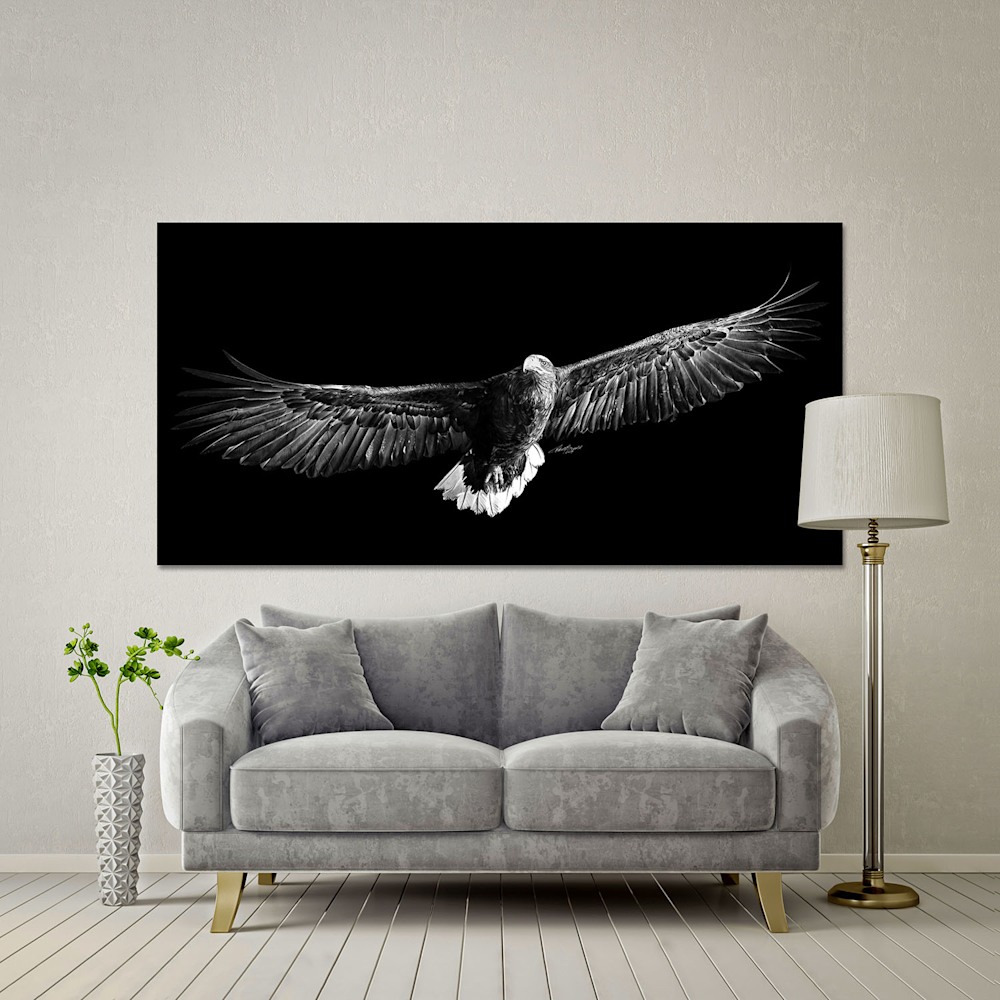 Own Limited Edition Hand-drawn Art On Eagles' Wings 