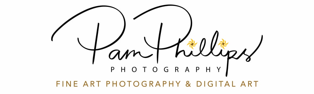 Pam Phillips Photography New Logo