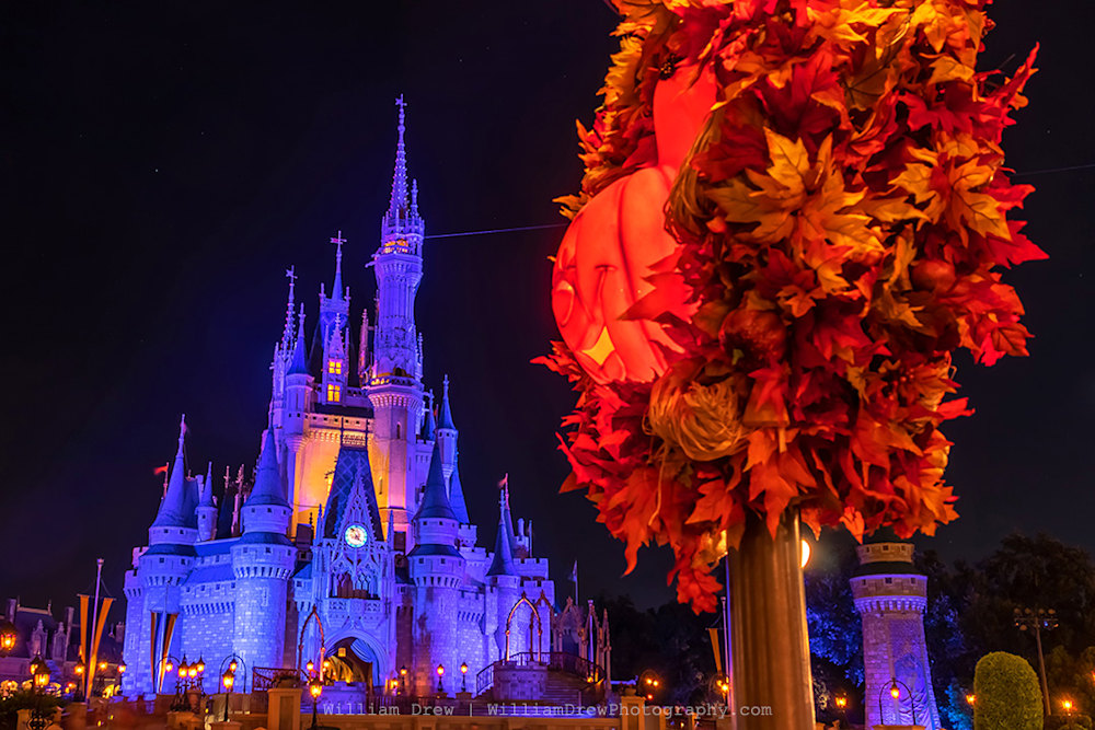 Magic Kingdom Halloween 2 - MNSSHP Photos | William Drew Photography