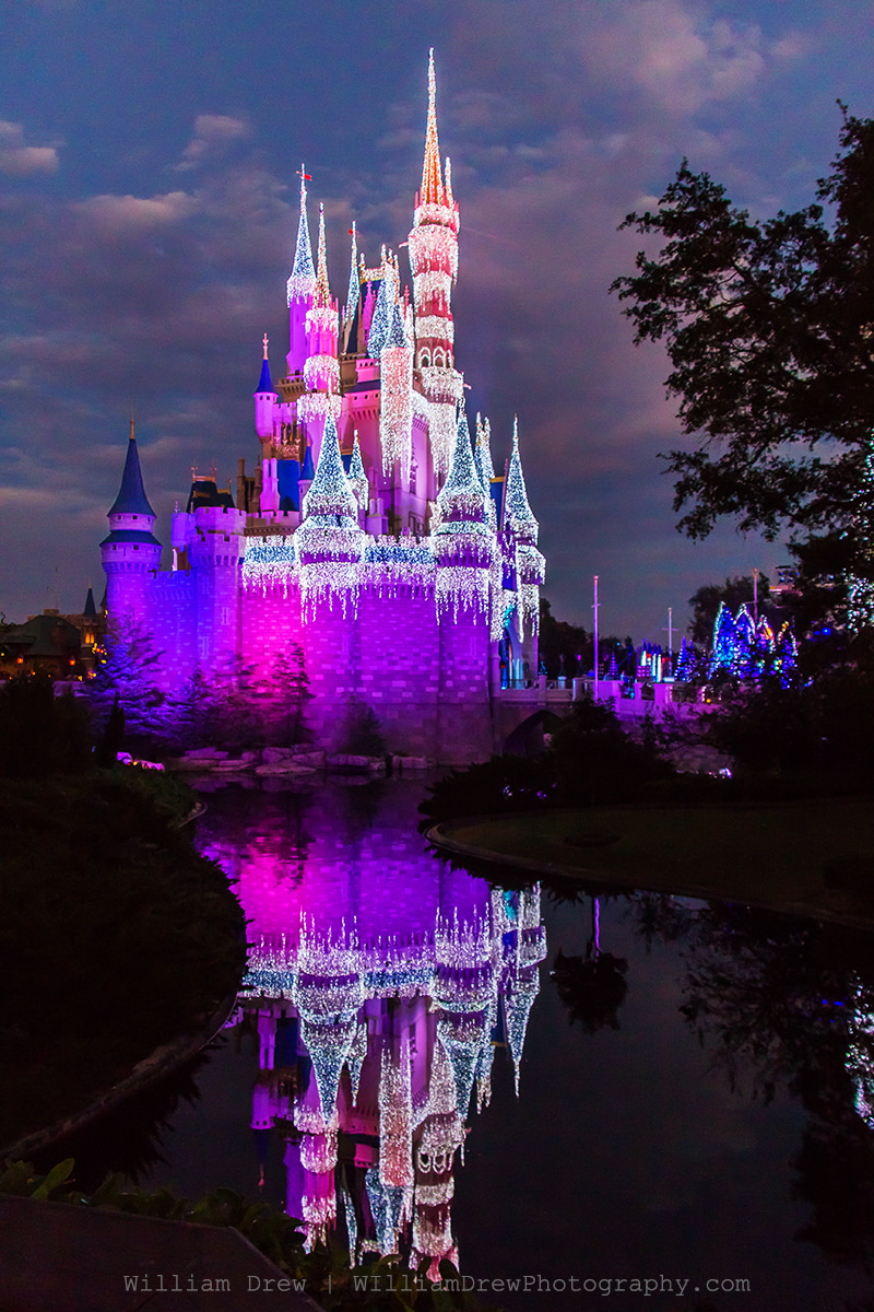 Cinderella Castle Dream Lights - Disney Christmas Photos | William Drew