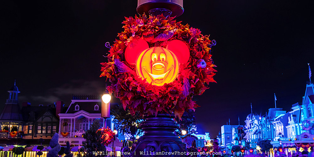 Halloween at Disney World - MNSSHP Photos | William Drew Photography