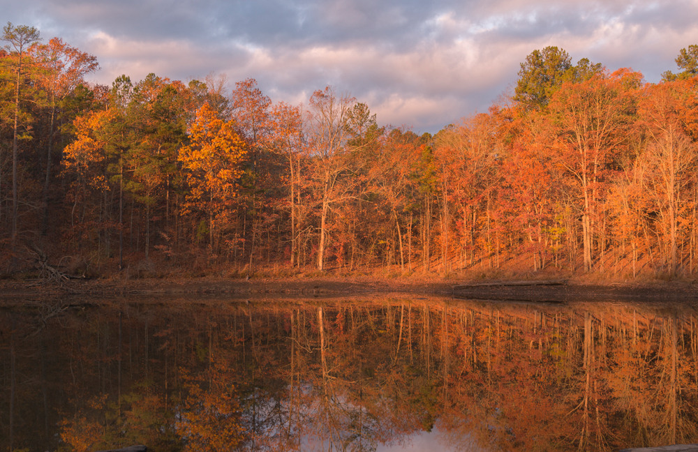 A colorful fall sunrise in Georgia