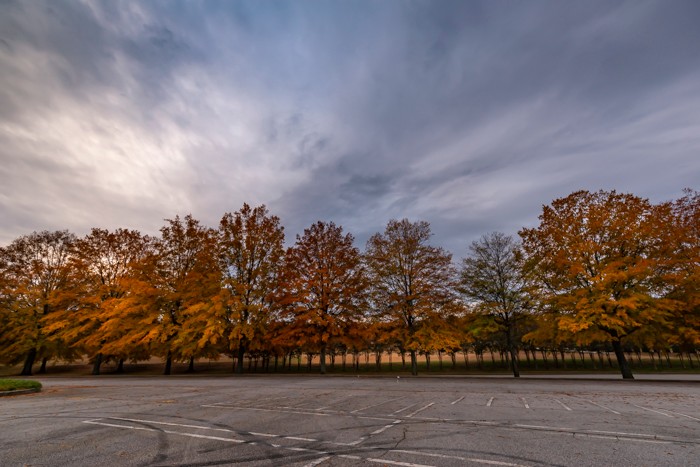 Fall foliage at the edge of a parking lot in Georgia