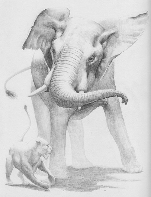 original drawing of elephant