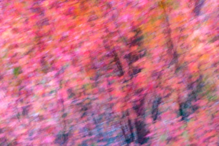 Abstract-Impressionist zoom-burst photos