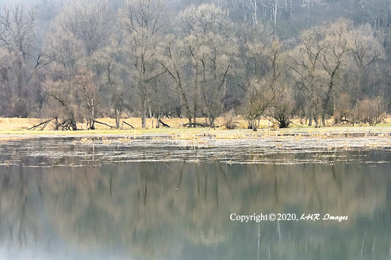 Fog at the Whitewater WMA