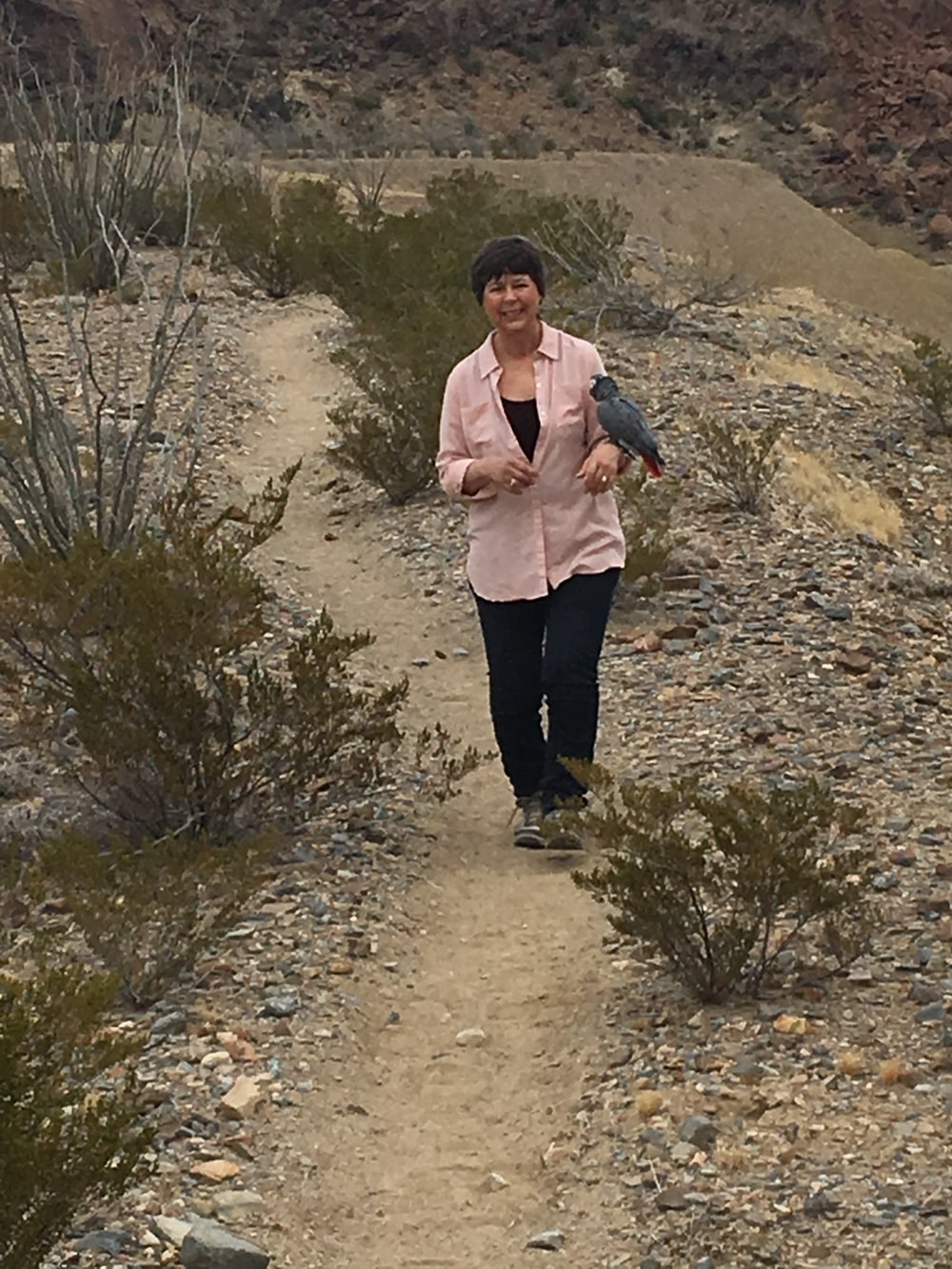 woman hiking thru cactus with parrot