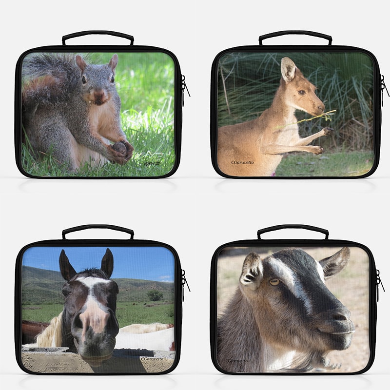 Cute animals on a photo lunchbox