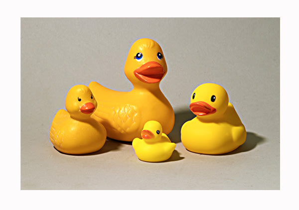 various types of yellow rubber ducks
