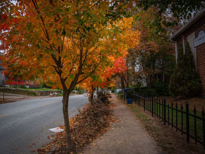 A photo of the street with colorful fall foliage on the trees