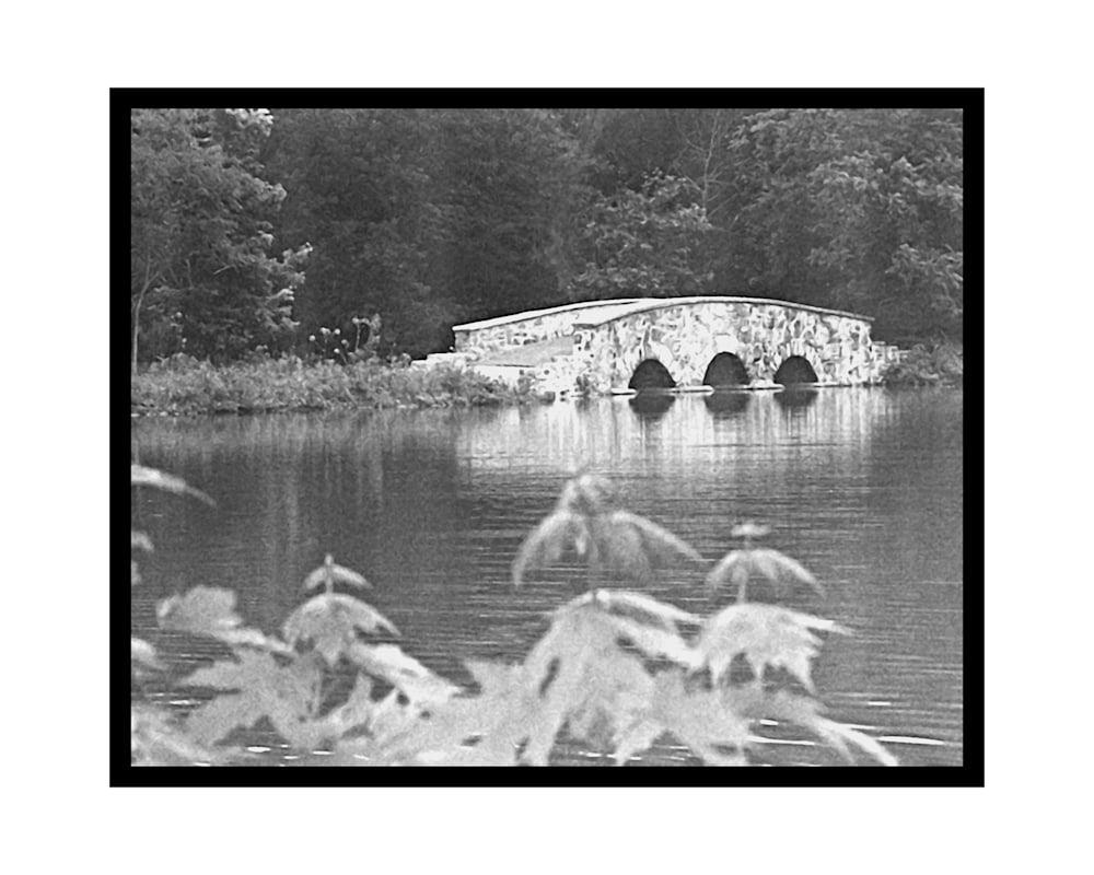 bridge of light and souls