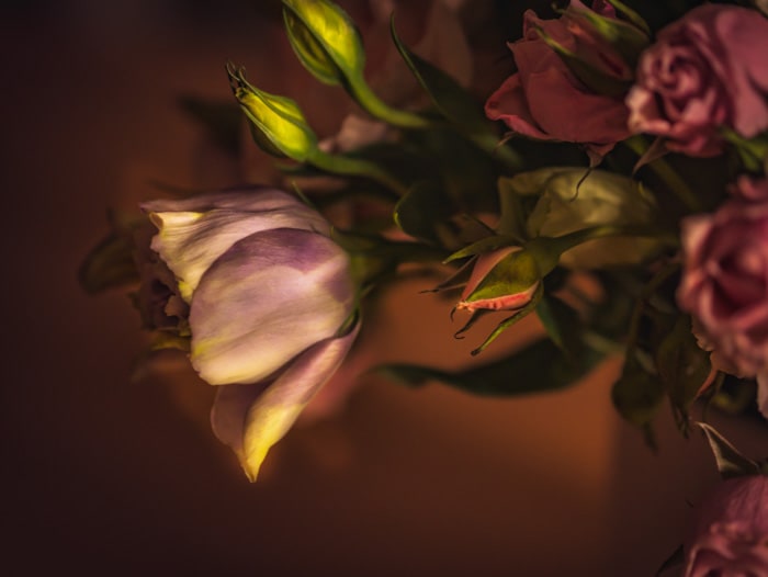 A close up of a rose in a flower arrangement