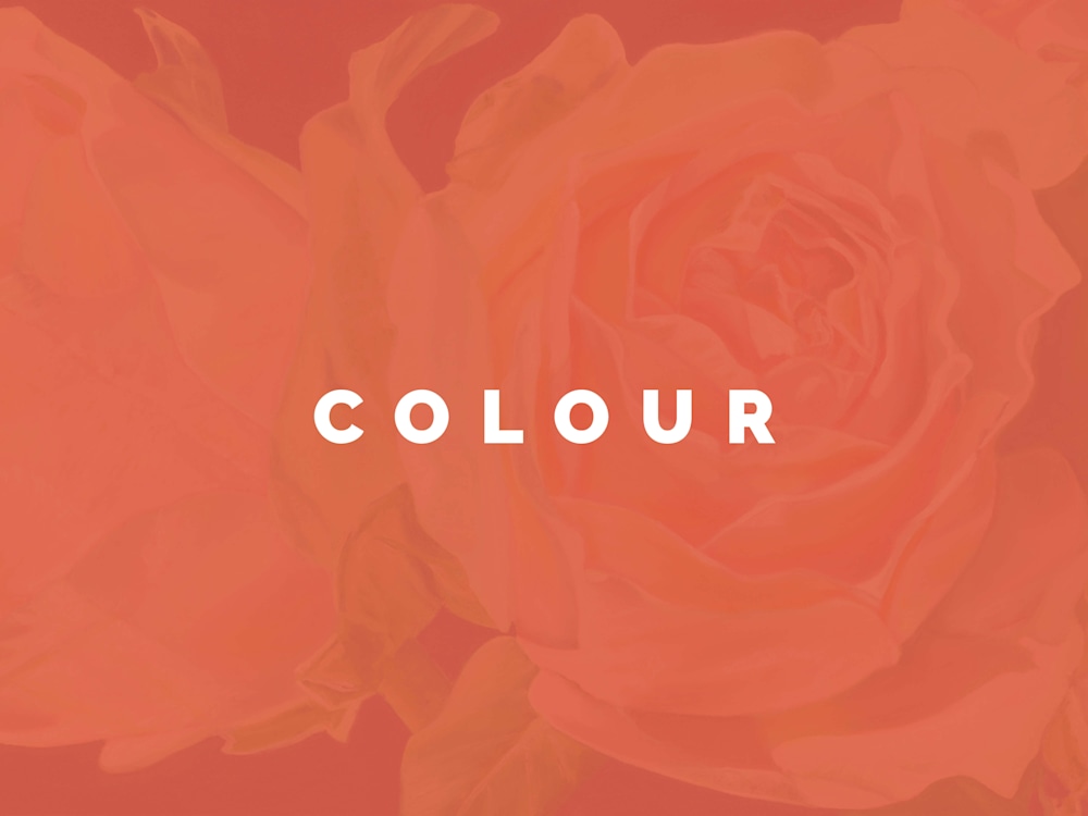 Shop by Colour