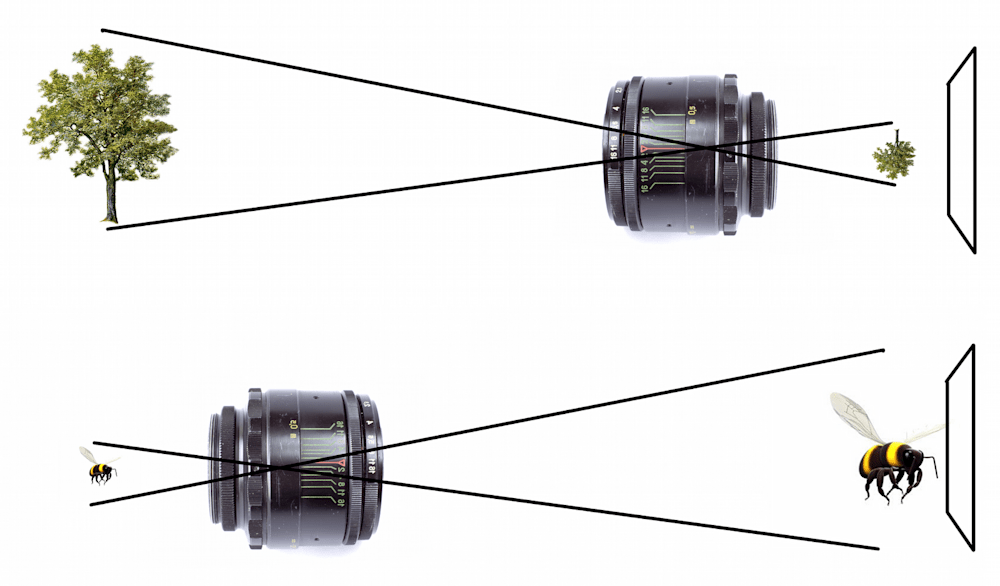 Diagram of how lens reversal macro photography works.